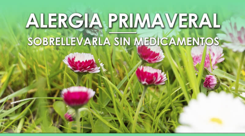 Consejos para Aliviar la Alergia Primaveral sin Medicamentos