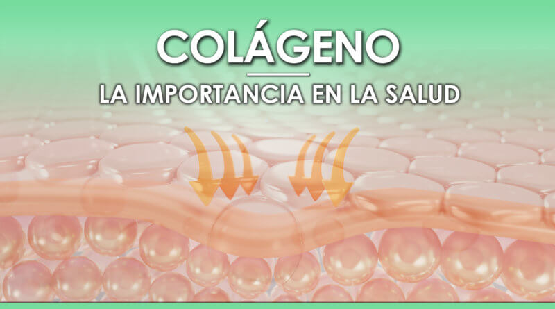 La Importancia del Colágeno en la Salud