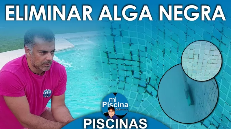 Como eliminar el ALGA NEGRA de la Piscina